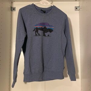 Patagonia Crewneck Pullover
